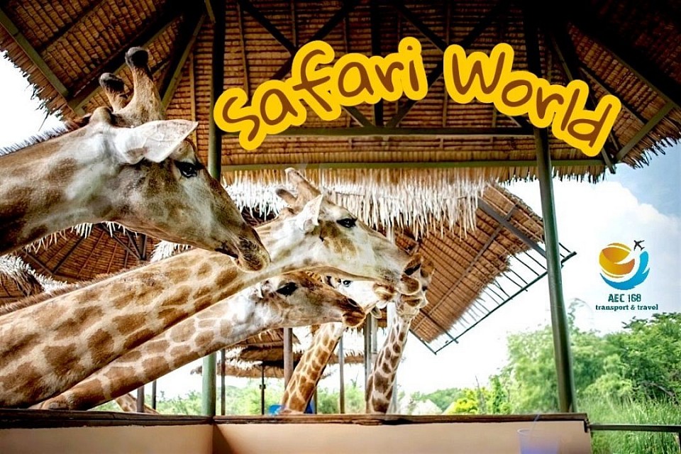 บริการทัวร์แบบ One Day Trip  Safari world